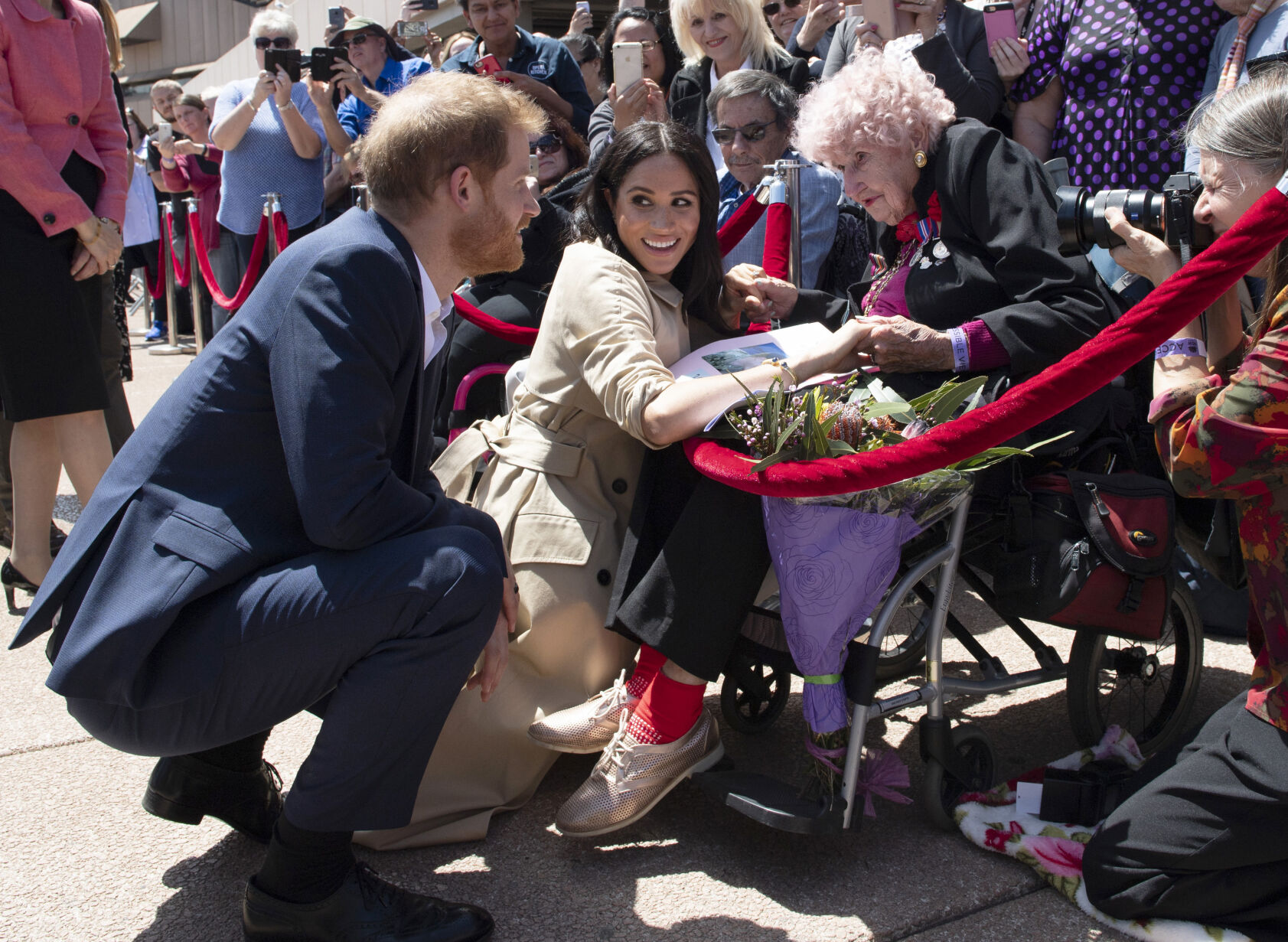 Australia Royals Photo Gallery